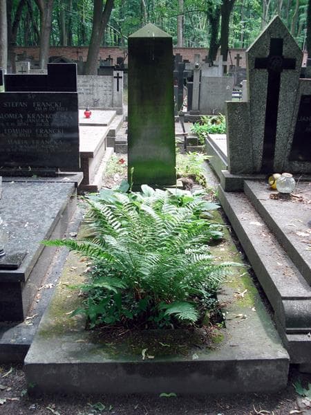 Zdjęcie grobu: Kazimierz Załuska