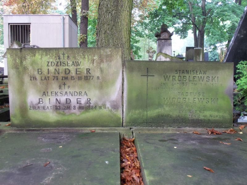 Zdjęcie grobu Stanisław Wróblewski (2)