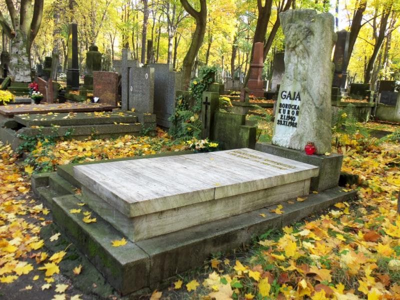 Zdjęcie grobu Maciej Kuroń (1)