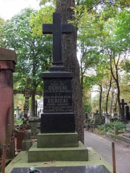 Zdjęcie grobu Jan Dębicki (2)