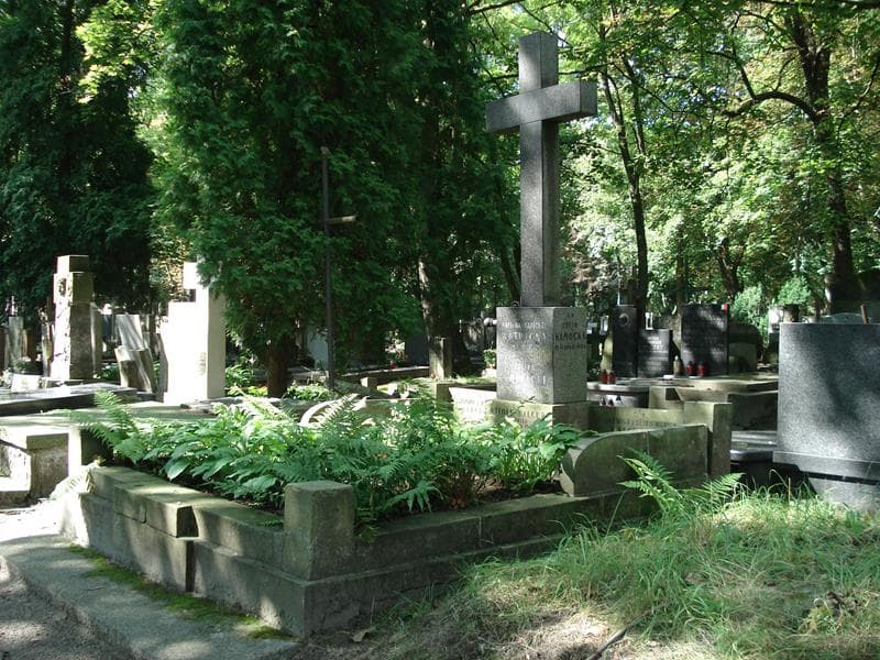 Zdjęcie grobu Witold Balcer (1)