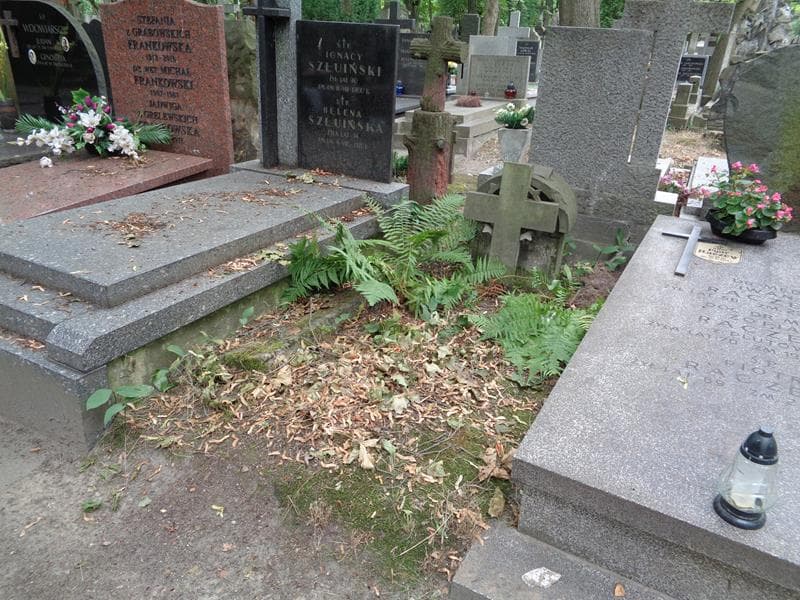 Zdjęcie grobu: Franciszka Niedzińska