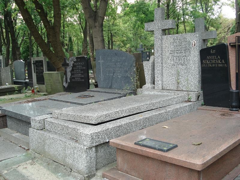 Zdjęcie grobu Stanisław Setnicki (1)
