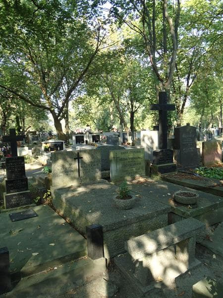 Zdjęcie grobu Bronisława Wadecka (1)