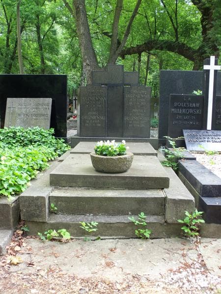 Zdjęcie grobu: Stanisław Dłużniewski