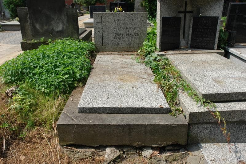 Zdjęcie grobu Jerzy Halicki (1)