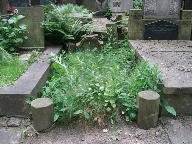 Zdjęcie grobu Józio Okular (1)