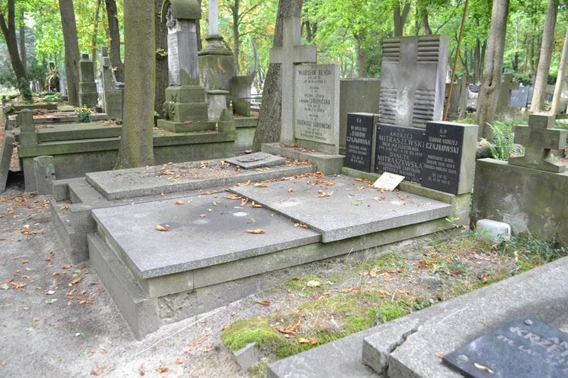 Zdjęcie grobu: Teodor Andrzej Czajkowski