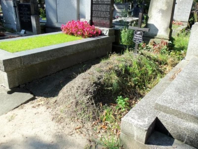 Zdjęcie grobu Małgosia Dratwa (1)