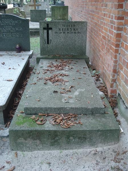 Zdjęcie grobu Teodor Kliński (1)