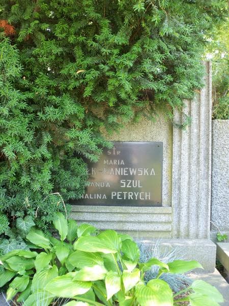 Zdjęcie grobu Halina Petrych (2)