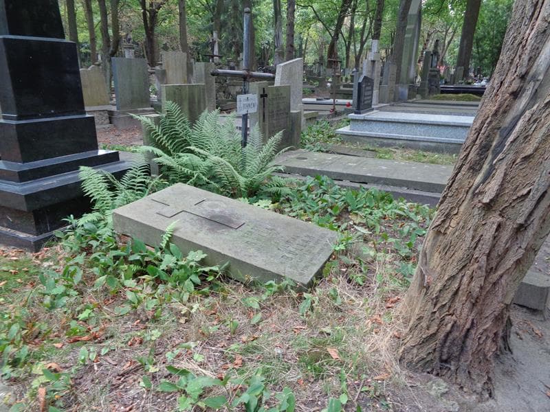 Zdjęcie grobu: Henryk Bullak