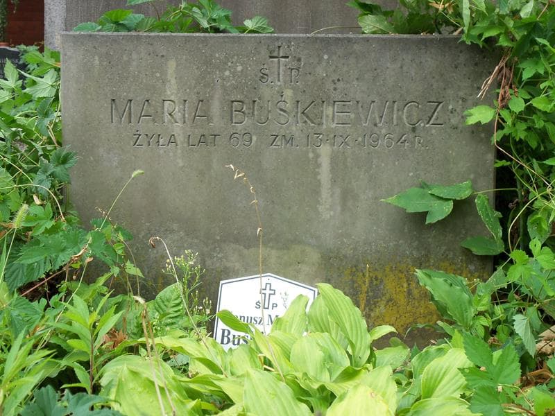 Zdjęcie grobu Maria Buśkiewicz (2)