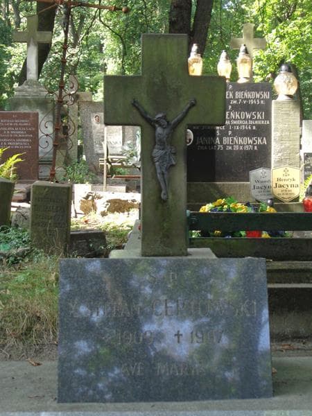 Zdjęcie grobu Stefan Ceptowski (2)