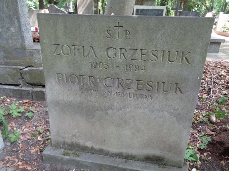 Zdjęcie grobu Kazimierz Jerzyna (2)