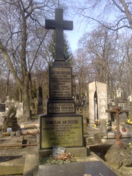 Zdjęcie grobu Antoni Okolski (1)