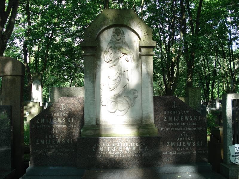 Zdjęcie grobu Kazimierz Żmijewski (2)
