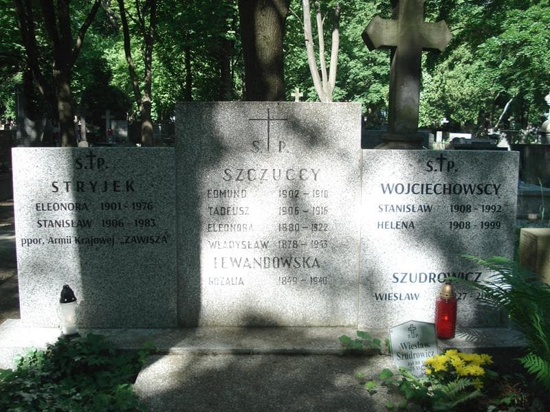 Zdjęcie grobu Eleonora Stryjek (1)