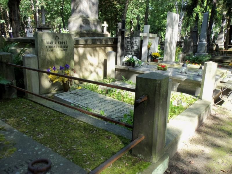 Zdjęcie grobu Władysław Bobrowicz (1)