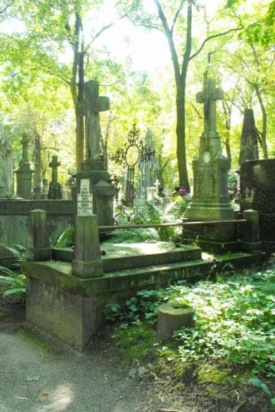 Zdjęcie grobu Adolf Piętka (1)