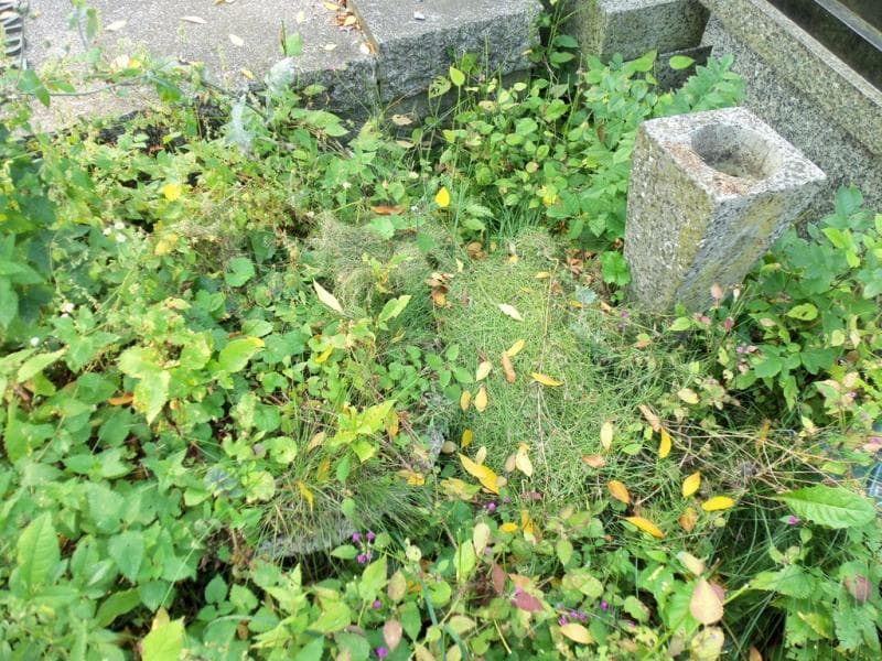 Zdjęcie grobu Pole Grobowe/anonim (1)
