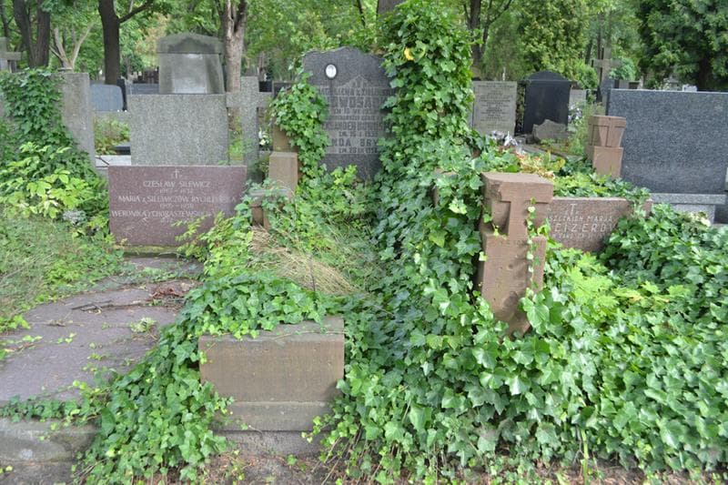 Zdjęcie grobu Aleksander Nowosadko (1)