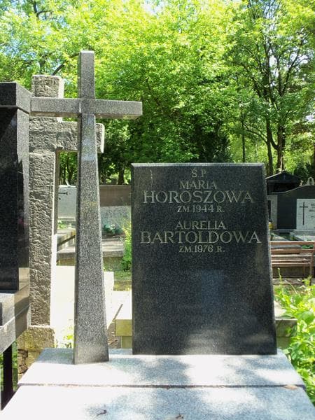 Zdjęcie grobu Maria Horoszowa (2)