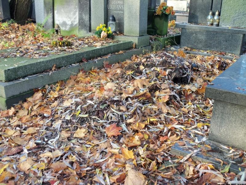 Zdjęcie grobu Pole Grobowe (1)