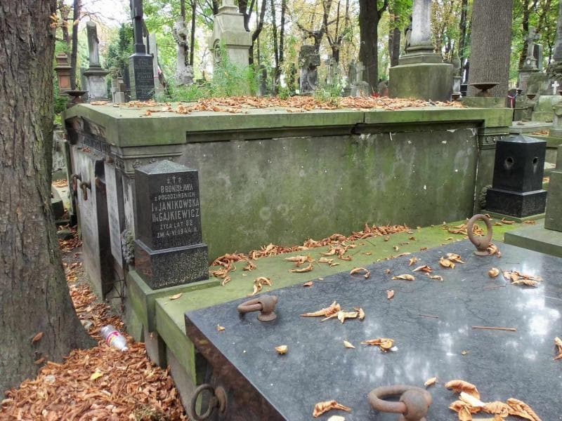 Zdjęcie grobu Helena Rubach (2)