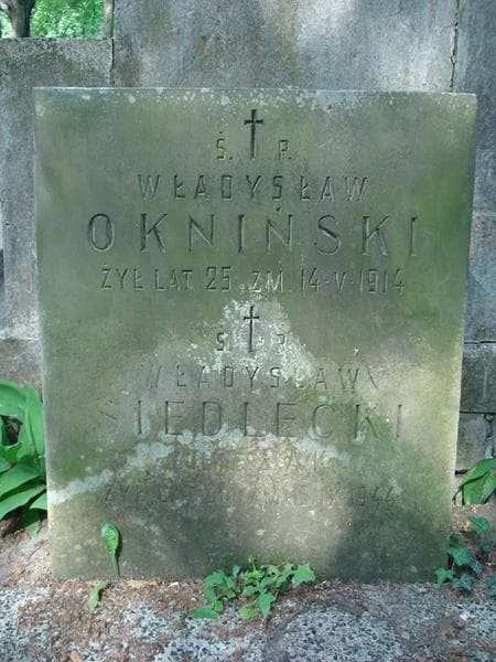 Zdjęcie grobu Władysław Okniński (1)
