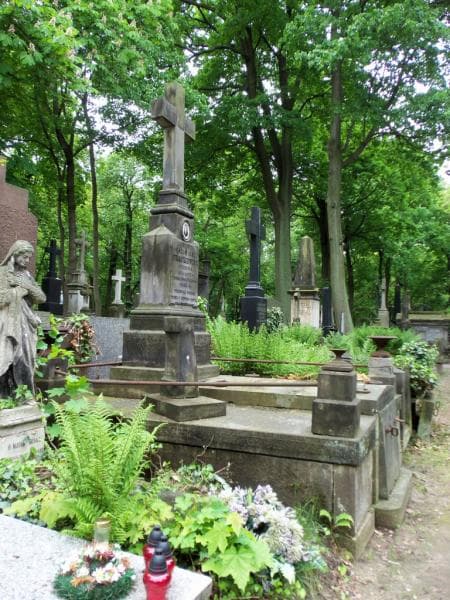 Zdjęcie grobu Marya Frąckiewicz (1)