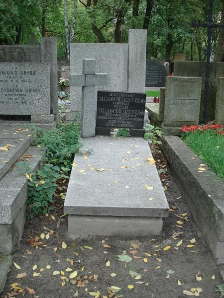 Zdjęcie grobu Janina Demidecka-Demidowicz (1)