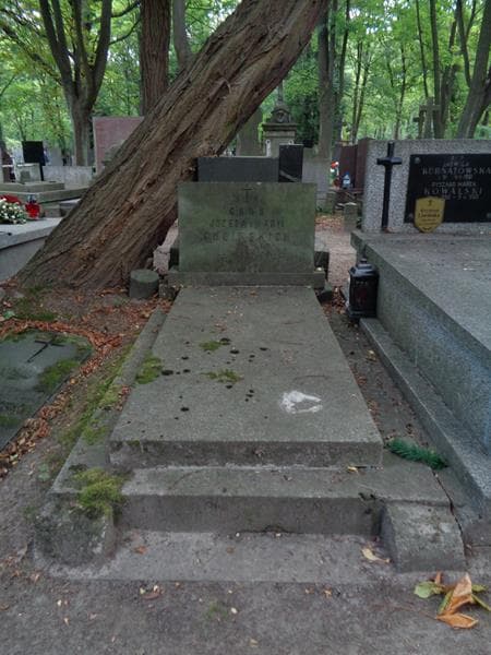 Zdjęcie grobu Helena Choińska (1)