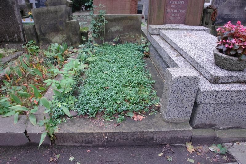 Zdjęcie grobu Jerzy Nagabczyński (1)