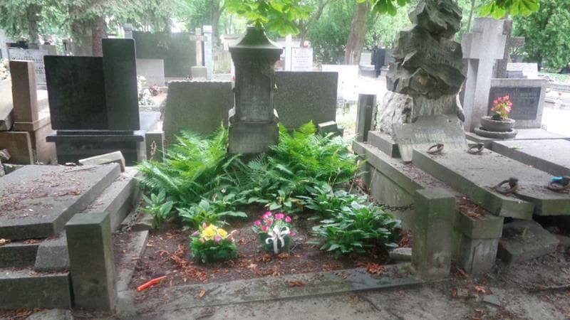 Zdjęcie grobu Ludwika Ciosek (1)