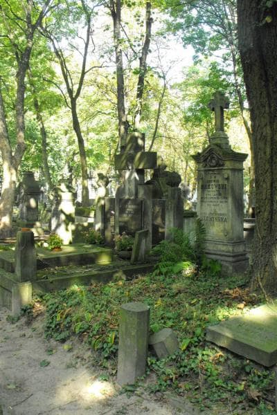 Zdjęcie grobu Ludwik Makowski (1)