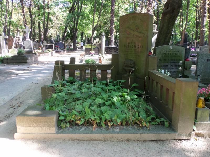 Zdjęcie grobu: Ludwik Idzikowski