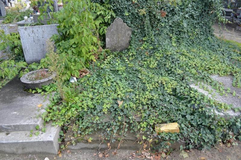 Zdjęcie grobu Marianna Budziszewska (1)