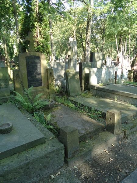 Zdjęcie grobu Eleonora Dobrowolska (1)