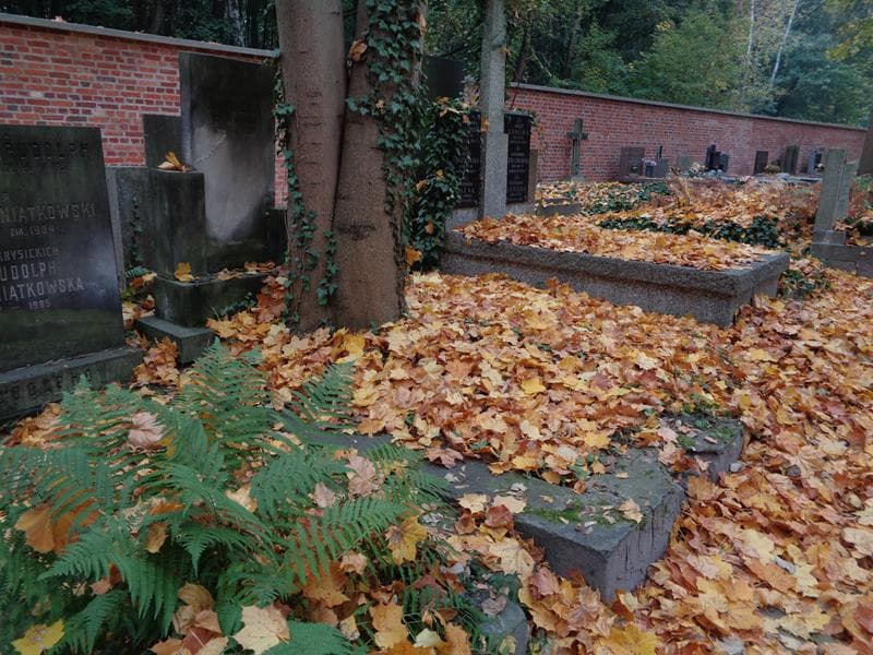 Zdjęcie grobu: Albina Janicka