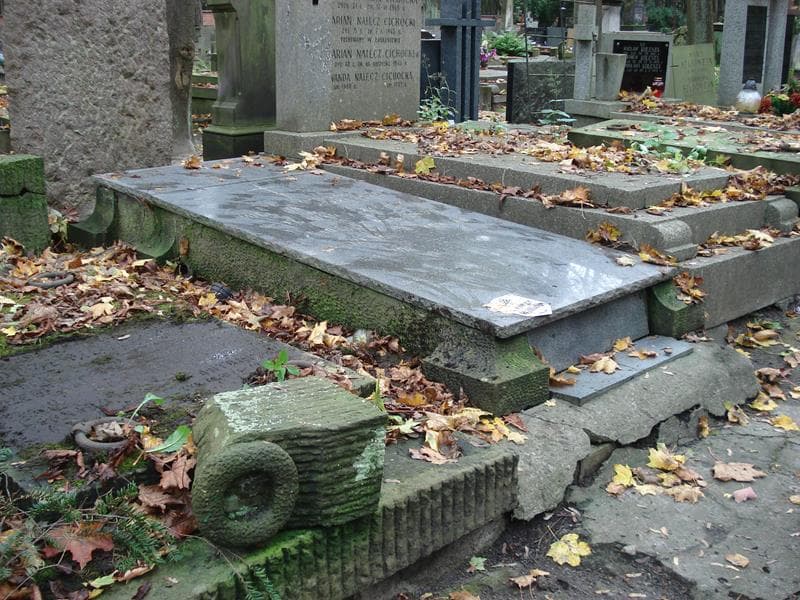 Zdjęcie grobu Tadeusz Perkowski (1)