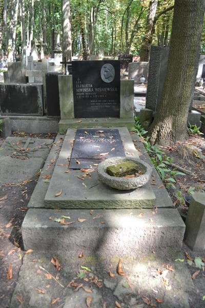 Zdjęcie grobu Zofia Niwińska (1)