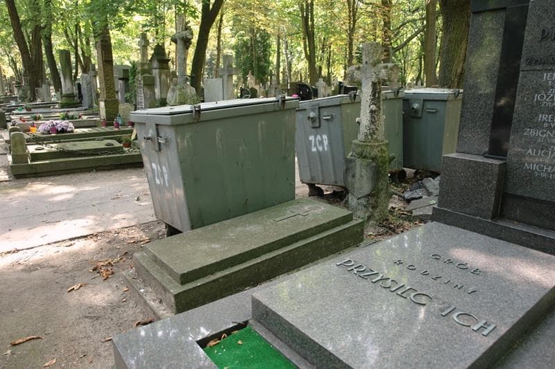 Zdjęcie grobu: Mieczysław Perzyński