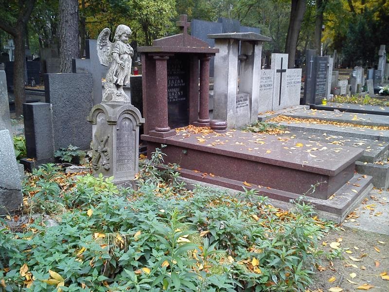 Zdjęcie grobu: Henryk Bulewski