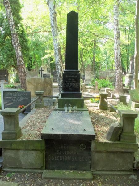 Zdjęcie grobu: Stanisława Gołębiowska