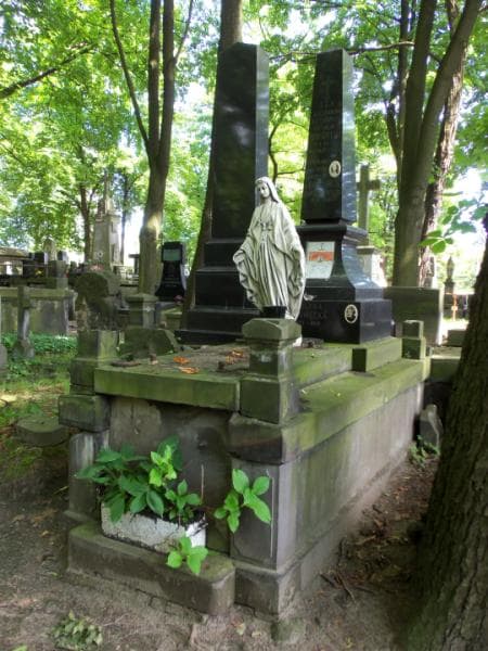 Zdjęcie grobu Stanisława Chrzanowska (1)