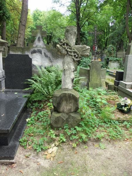 Zdjęcie grobu: Wincenty Piotrowski