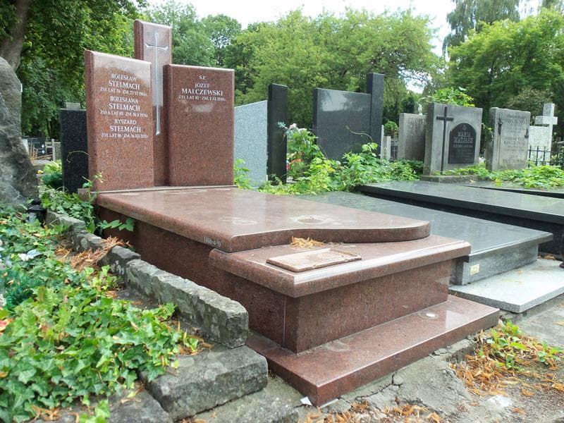 Zdjęcie grobu Józef Malczewski (1)