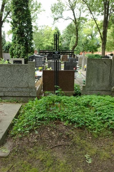 Zdjęcie grobu Mieczysław Cybulski (1)
