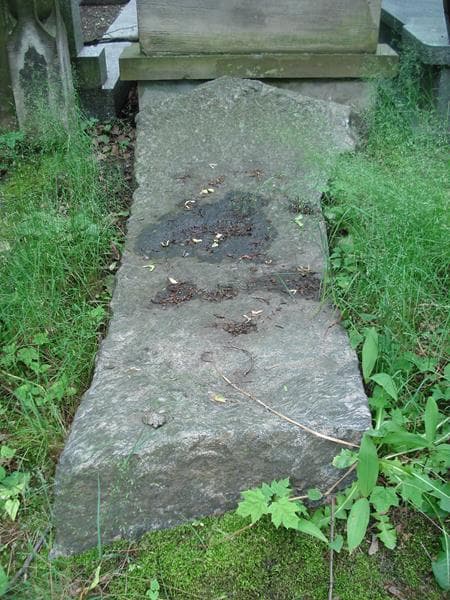 Zdjęcie grobu Juliusz Rothe (2)